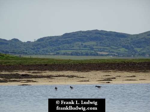 Culleenamore, County Sligo